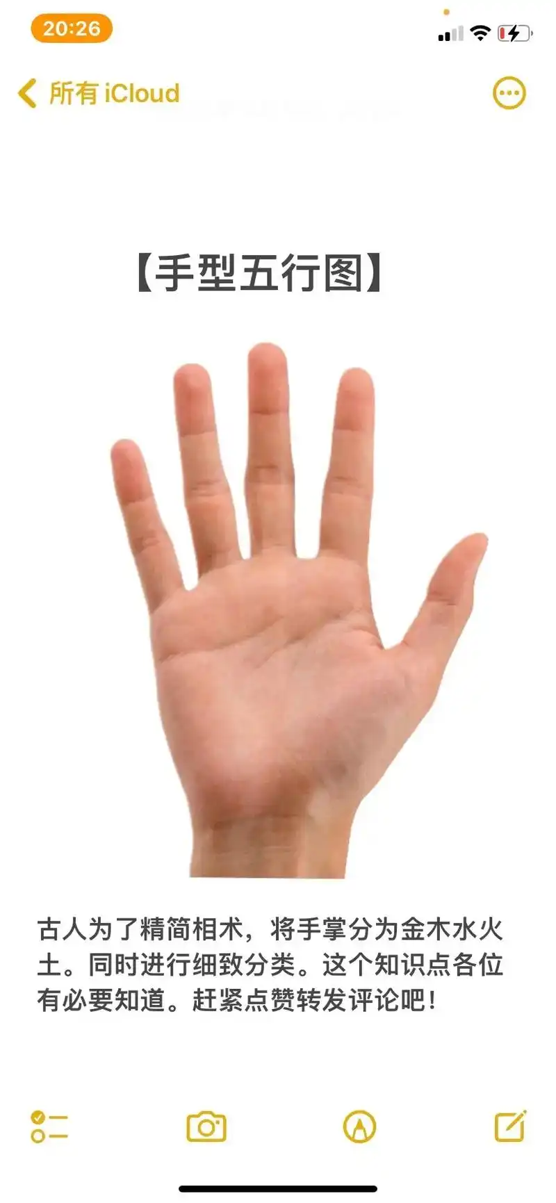 【手型五行图】古人为了精简相术,将手掌分为金木水火土.