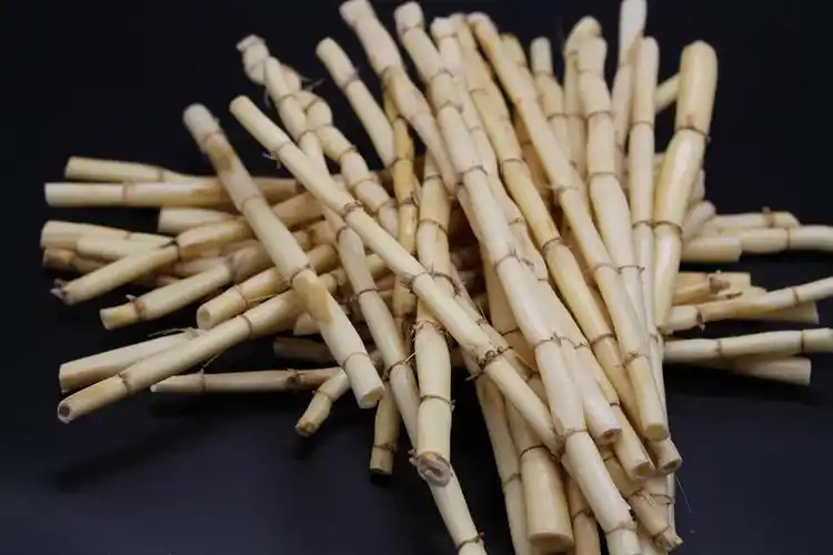 秦霄堂 真空包装新鲜芦苇根 苇子根芦根白茅根 中草药材原材料 500g