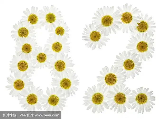 阿拉伯数字82,82,来自白花洋甘菊,孤立在白色背景上