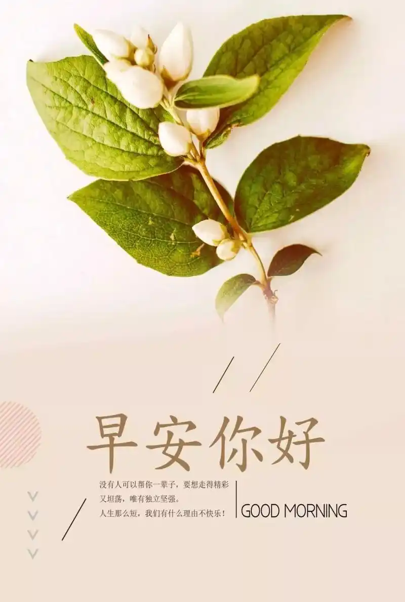 美业早安励志正能量的句子的简单介绍