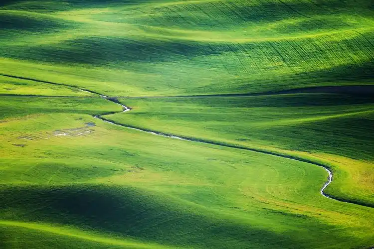 宽广的草地图片-风景壁纸 - 壁纸家