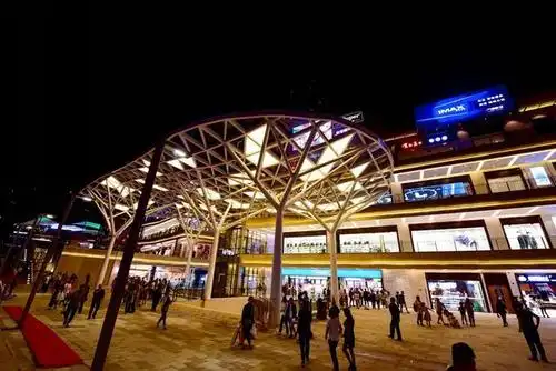 开业两天到访30万人销售1800万元 弹子石万象汇璀璨揭幕