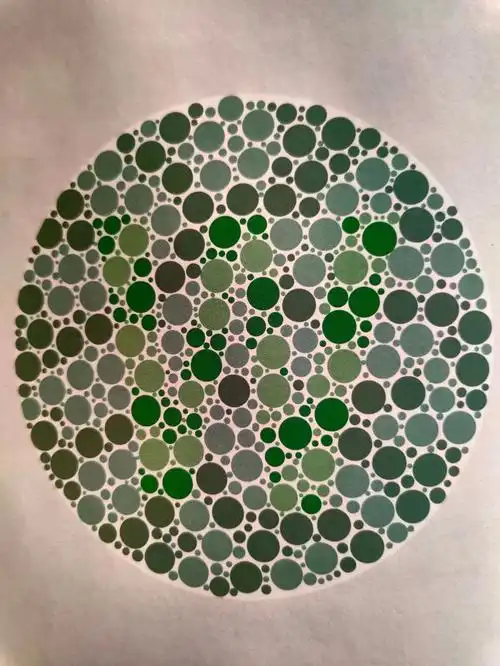 2020年最近驾考体检专用色盲检测图