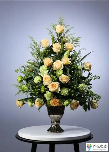 如何学习插花?除了技巧还需要对植物和美学哪方面的领悟