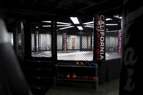 搏击格斗八角笼专业知识科普