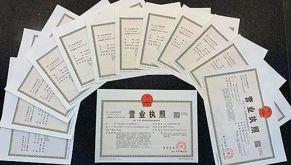 服务在线不打烊首批临港新片区营业执照诞生