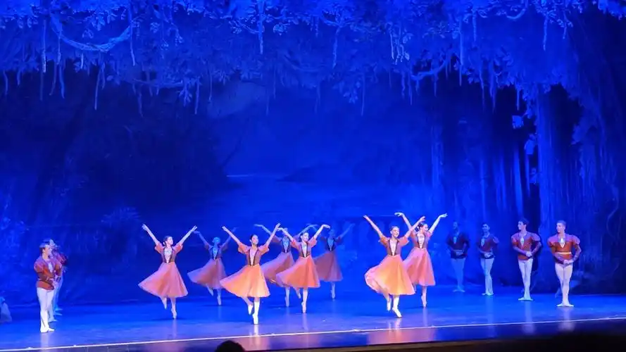 【芭蕾舞剧】《天鹅湖》精彩片段