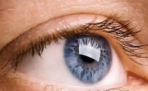 胶片|瞳孔|底片|肉眼|视网膜_网易订阅