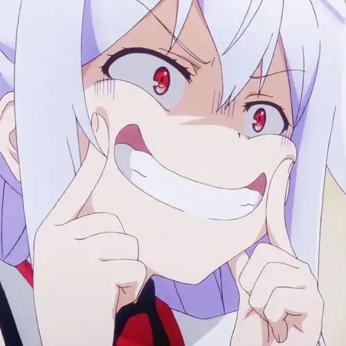 可塑性记忆艾拉