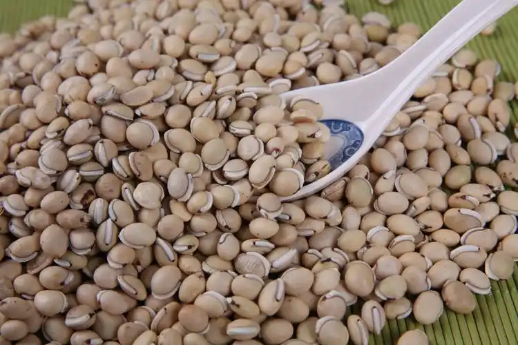 产地货源 云南特产白扁豆 精选药扁豆 滋补中药材 炖汤 精选品质