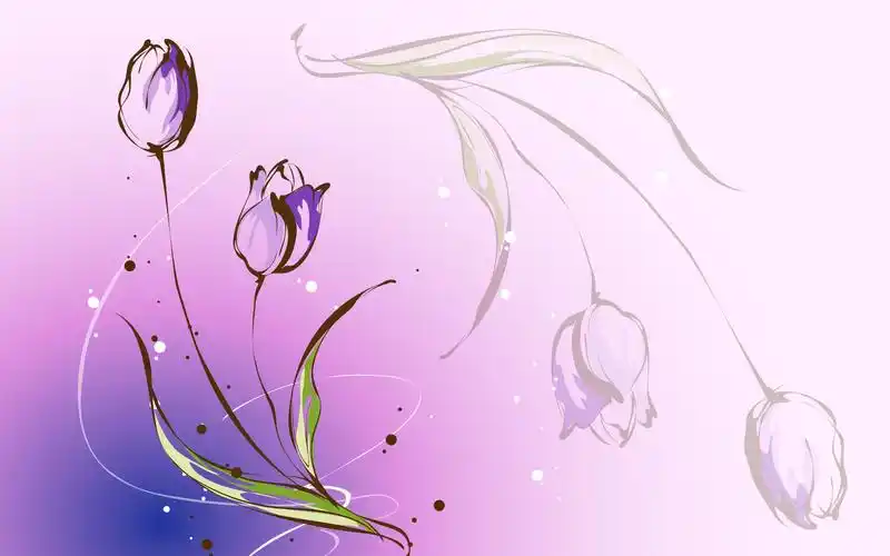 精美花纹炫彩效果图【二】,高清图片,炫彩壁纸-回车桌面