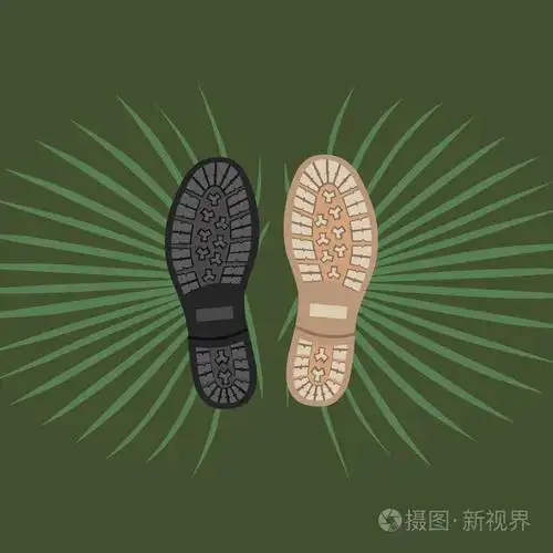 鞋底有棕榈叶矢量插图