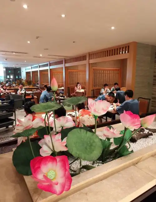 周末不知道去哪昆明何日君温泉酒店76