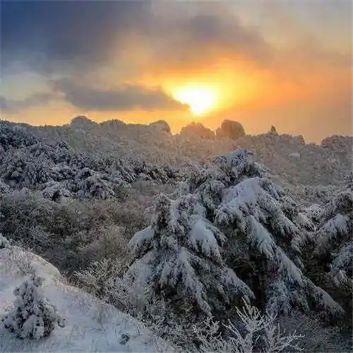 银装素裹黄山雪景风景头像图片