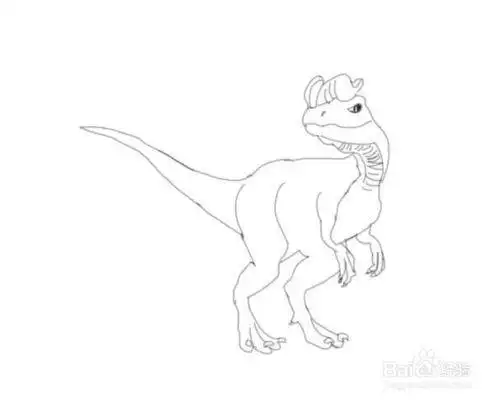 暴虐霸王龙大战霸王龙简笔画