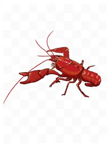 手绘小龙虾 i>免 /i> i>扣 /i> i>背 /i> i>景 /i> i>图 /i>