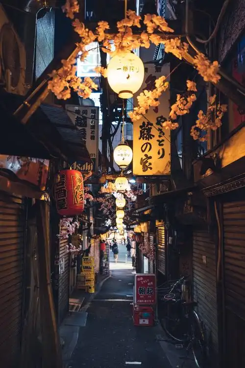 新宿三丁目特色小巷_生活_poco摄影,日本,旅行之美,东京,我要上开屏