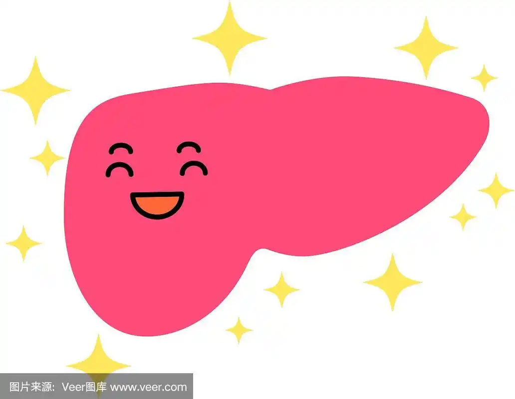 一个可爱的肝脏的插图