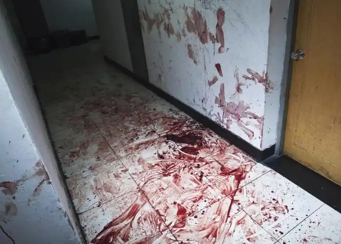 1988年属龙是什么命1988年属龙五行是什么五行