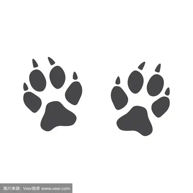 狐狸,爪,爪子,野外动物,平衡折角灯