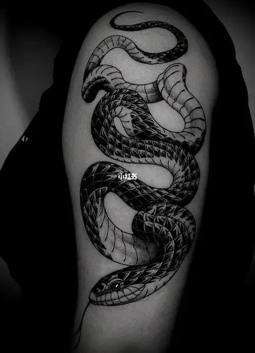 蛇纹身