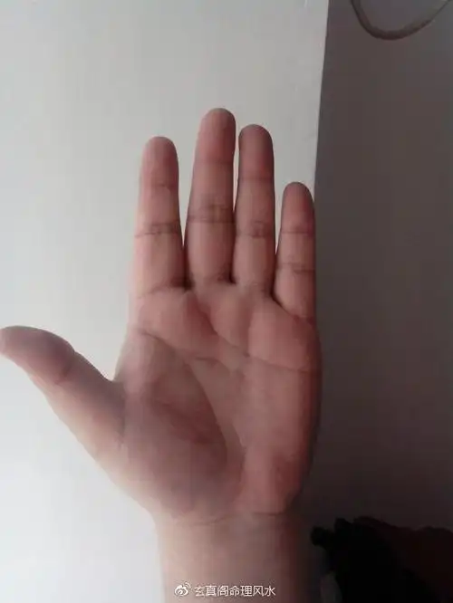 这种手相的人有官运天生就是当官的后期会晋升到大官