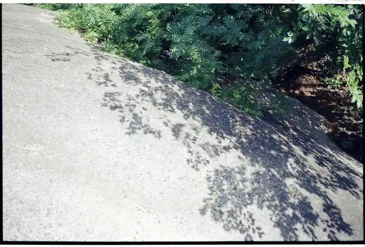 胶片里的一些风景