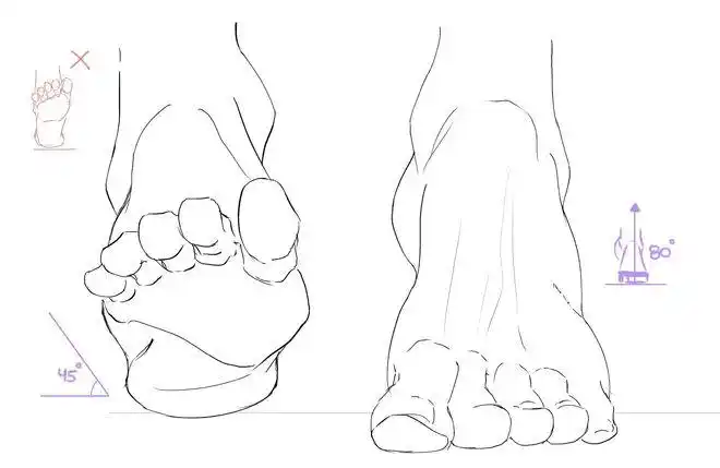 抬脚怎么画教你脚部结构的画法教程