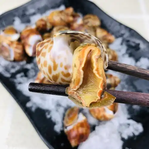 鲜活冷冻花螺新鲜大东东风螺超大号5斤海鲜贝类制品