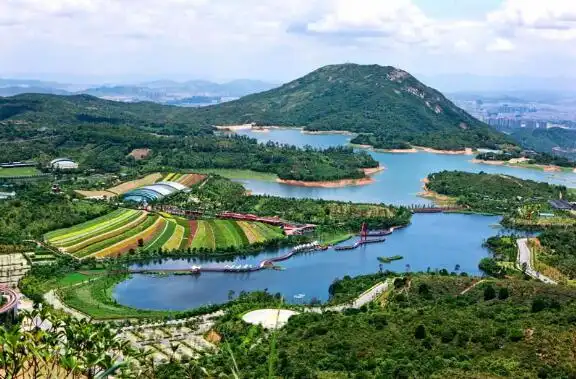 实景图   深圳华侨城旅游度假区