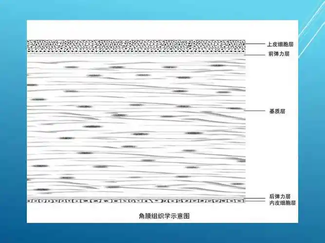 角膜巩膜病眼科精品课件