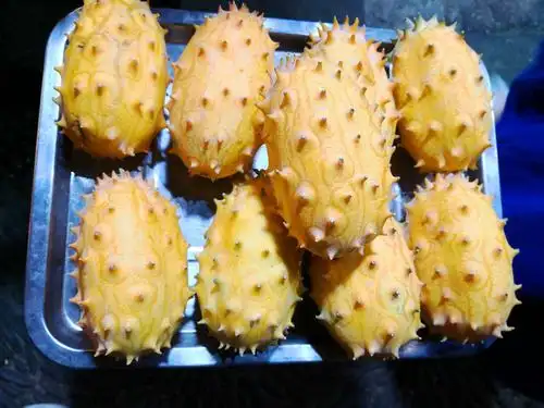 火参果,从未见过的水果,味道淡淡的有点酸味,吸着吃哦