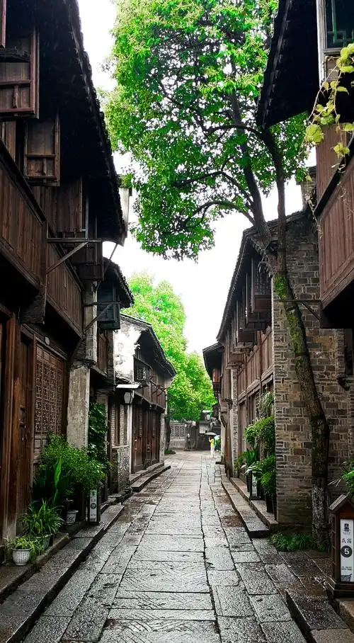 【我行我摄】古巷承岁月 石径历蹉跎