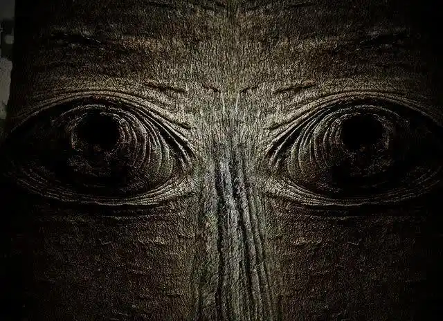 你谁啊?来我家多啥嘴?滚!" 我爷爷没滚,但没再开口,只是紧盯着