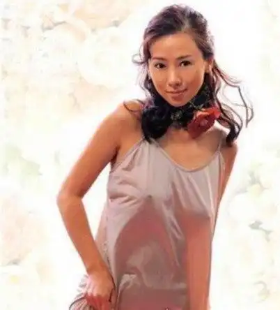 中国十大明星凸点装现场林志玲舒淇范冰冰等大牌明星均上榜