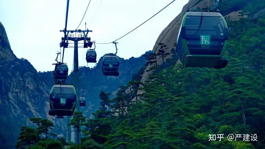 黄山迎客松边的粗硕元阳石严建设