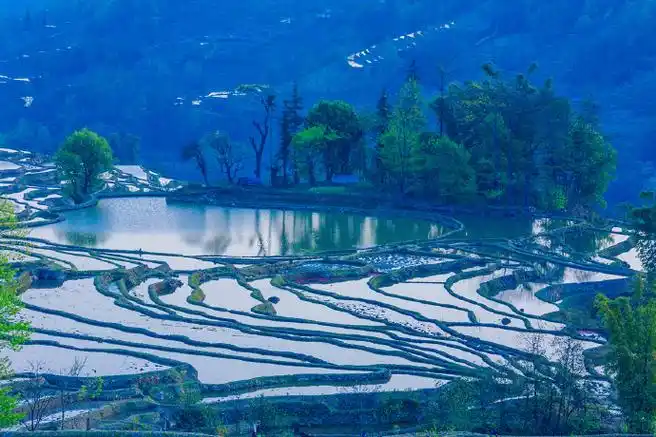 9云南自驾游19箐口文化村梯田之一