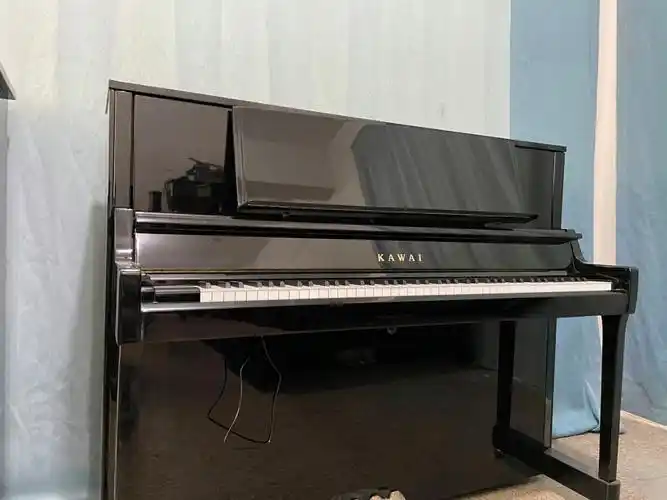 各种漂亮的进口琴