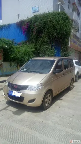 五菱宏光车转让,有意者电联系,买保你划算