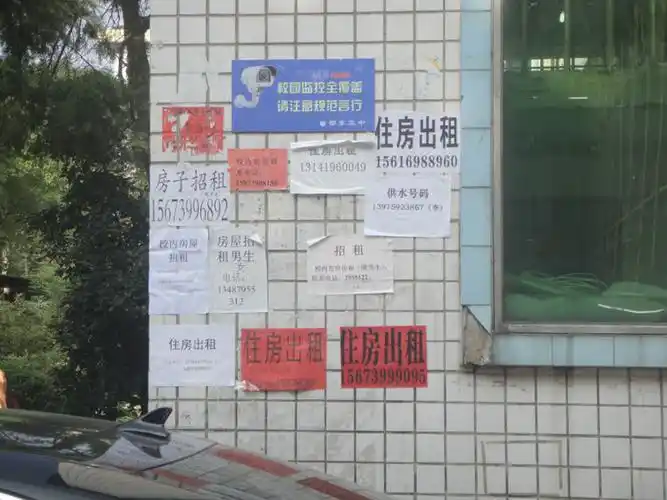 颓废了.摄影/李花果文字/宝庆奇人首先.