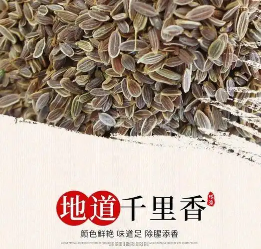 正宗千里香七里香万里香九秋香过山香麻辣卤味香料50g500g千里香500g