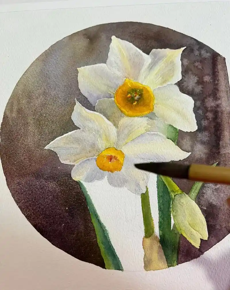 画一副春天的信使安静绽放的水仙花