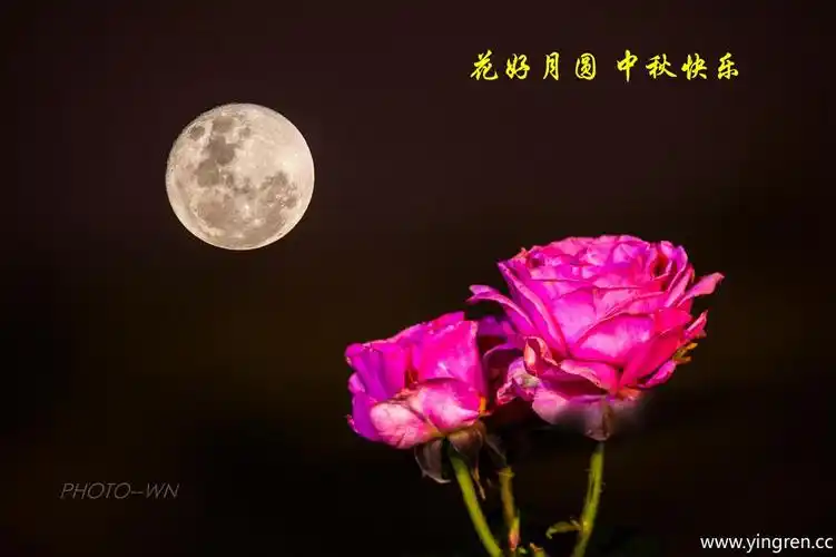 花好月圆 中秋快乐
