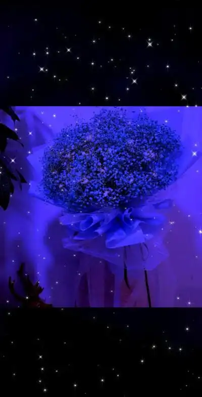 任觉满天星辰不及你#壁纸#背景图