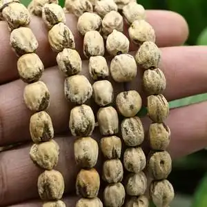 柏树籽手链佛珠图片