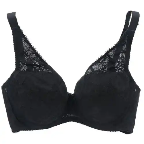 紫兰蒂薄款文胸女专柜品内衣聚拢侧收调整型收副乳胸罩sw7462