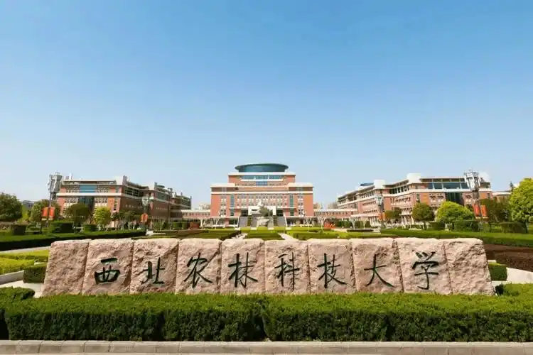 西北农林科技大学怎么样?深耕农林,成果丰厚_小麦_杨凌_我国