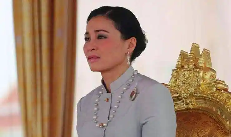 诗妮娜贵妃复出有望有一个聪明的女儿是她登上宝座的唯一依托