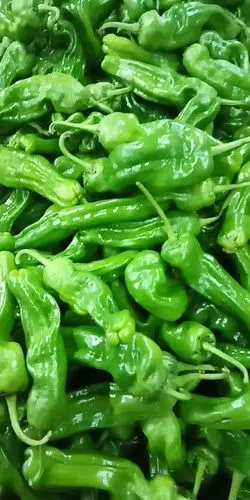 青泡椒原价4.98元/斤,现特价3.98元/斤.