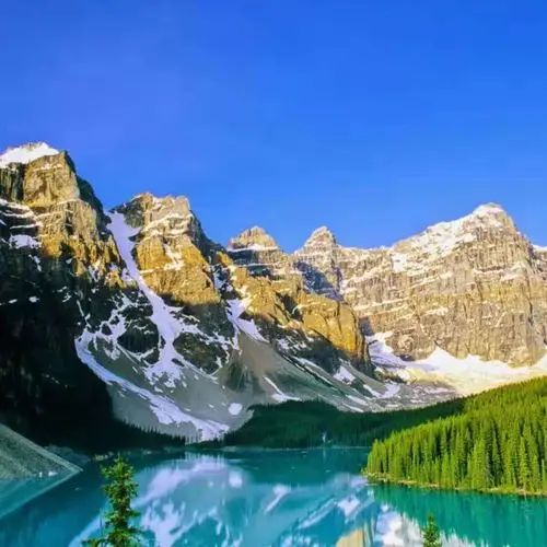 如果每个人都可以心想事成,世界会变成什么样子?